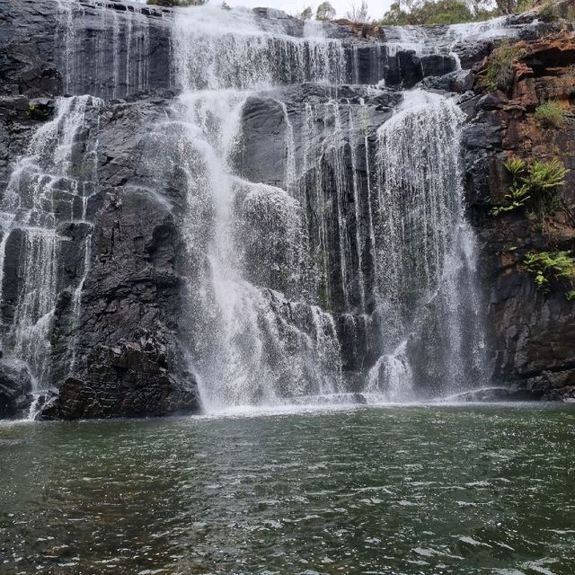 Gorgeous Mackenzie Falls