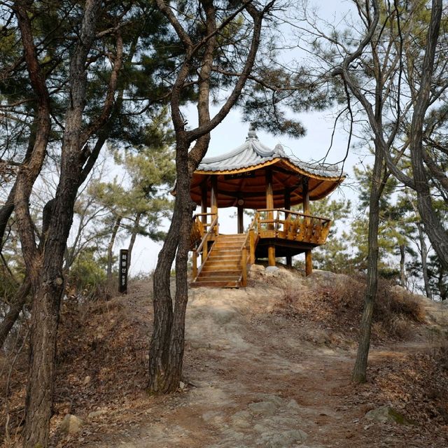 대전 우성이산 등산 