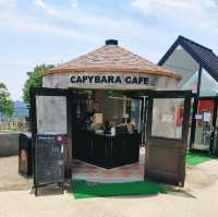 カピバラを見ながらゆっくりコーヒーが飲める