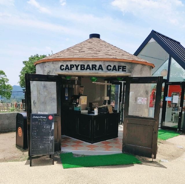 カピバラを見ながらゆっくりコーヒーが飲める