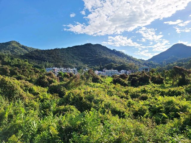 港版輕井澤雲場池~流水響水塘🏞️