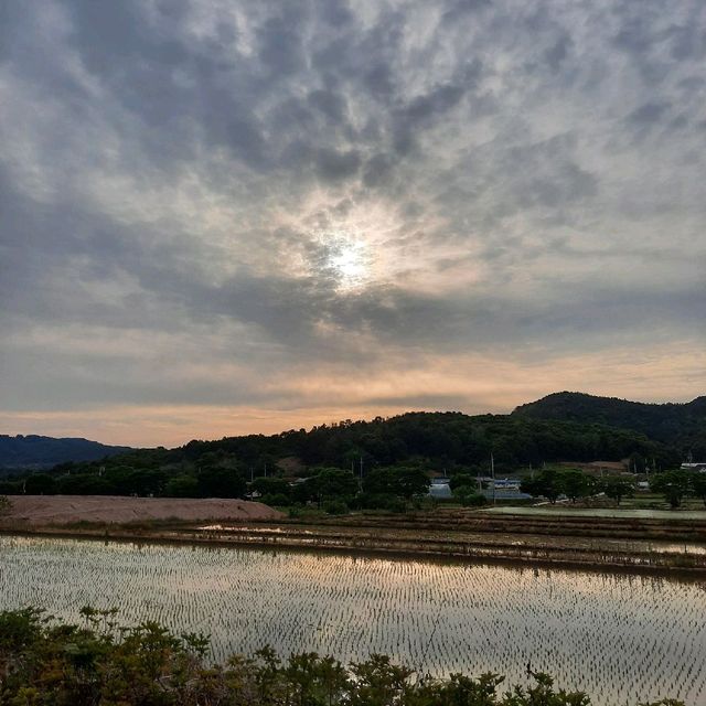 전주 수목원
