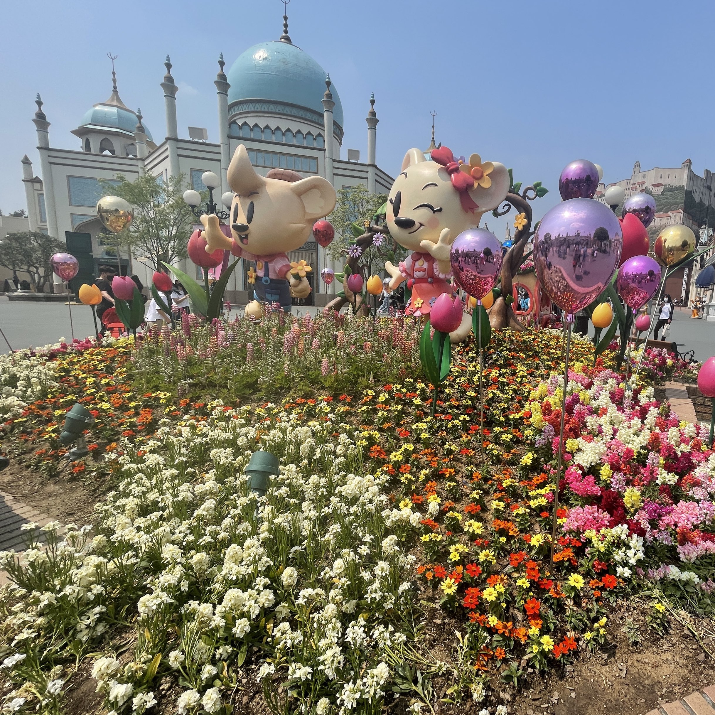 It's getting colder, but Everland is still full of flowers. | Trip.com  Yongin-si