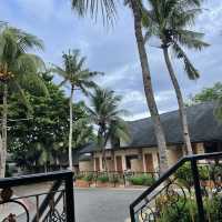 Morning view 