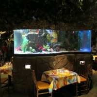 Rainforest Cafe (Now known as Jungle Cafe) 