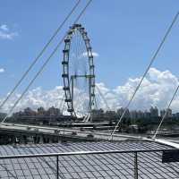 全世界最高、最大的景觀摩天輪～新加坡摩天輪 Singapore Flyer