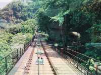 山頂遊之山頂纜車