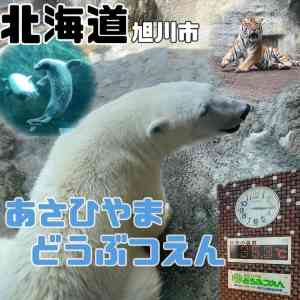 Tripメモリーで ライオンをチェック Trip Comトラベルガイド