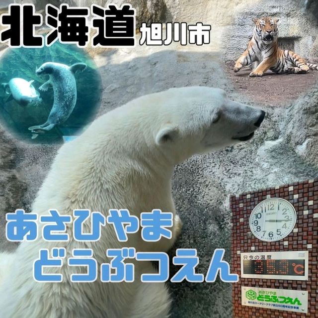 【旭山動物園】北海道/旭川市