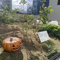 🎃 👻 感受萬聖節氣氛好去處 — 南豐紗廠