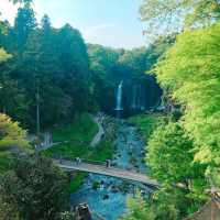 【白糸の滝・音止の滝】静岡県/富士宮市