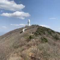 팔공산 말고 비슬산