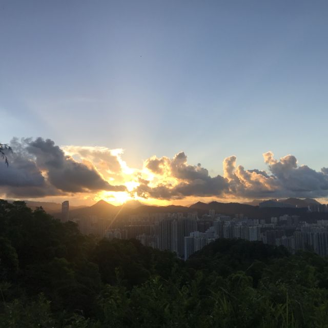 親子行山好去處 適合新手 🏔 青衣自然教育徑