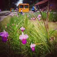 Rail Corridor: Coursing through time