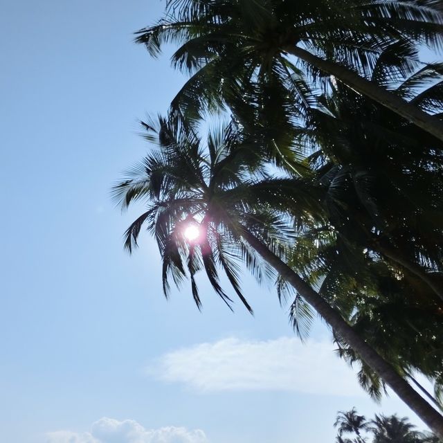 新加坡聖淘沙沙灘🏖️