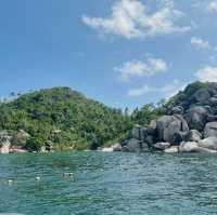 เกาะเต่า ธรรมชาติใต้ทะเล 