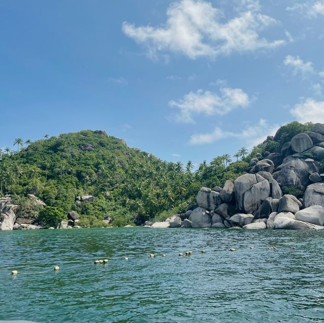 เกาะเต่า ธรรมชาติใต้ทะเล 