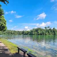 MacRitchie Reservoir