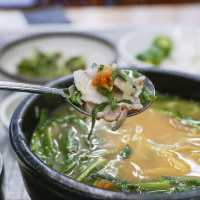 부산 여행 필수먹방 돼지국밥 '송정3대국밥'