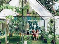 คาเฟ่ในสวน Pin Farm&Cafe @ขอนแก่น