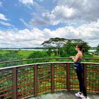 Simple hike, extraordinary sights 