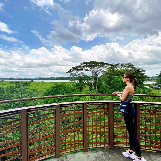 Simple hike, extraordinary sights 