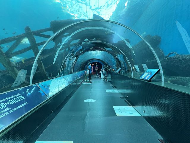 S.E.A. Aquarium, Resorts World Sentosa SG