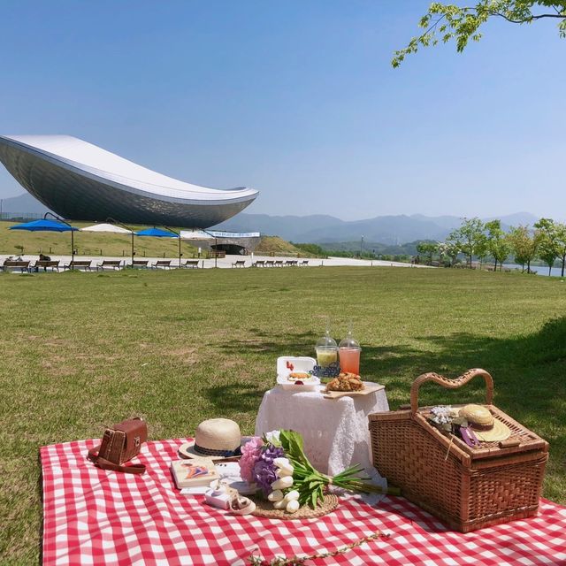 대구 강정보 광장에서 감성 피크닉 👩🏻‍🌾