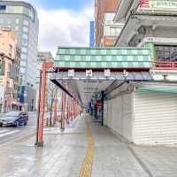 雪の翌朝の雷門通り周辺