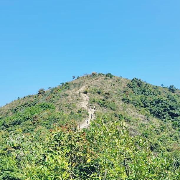 衛奕信徑第四段