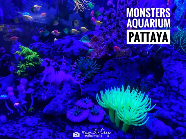 Monsters aquarium pattaya
