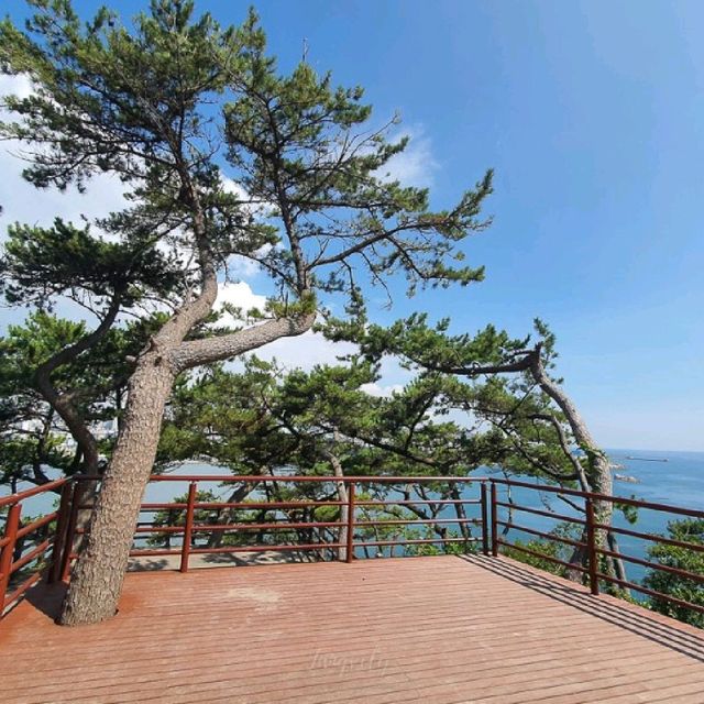 신상 여행명소 <울산 대왕암 흔들다리>