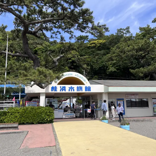 【高知】生きものとの距離感近すぎ！桂浜水族館