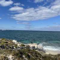 Nature Wonders of Rottness Island