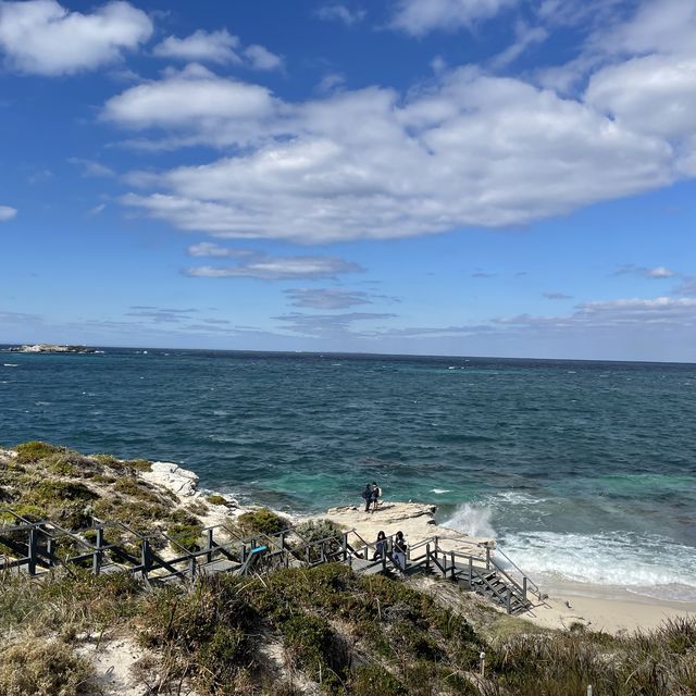 Nature Wonders of Rottness Island