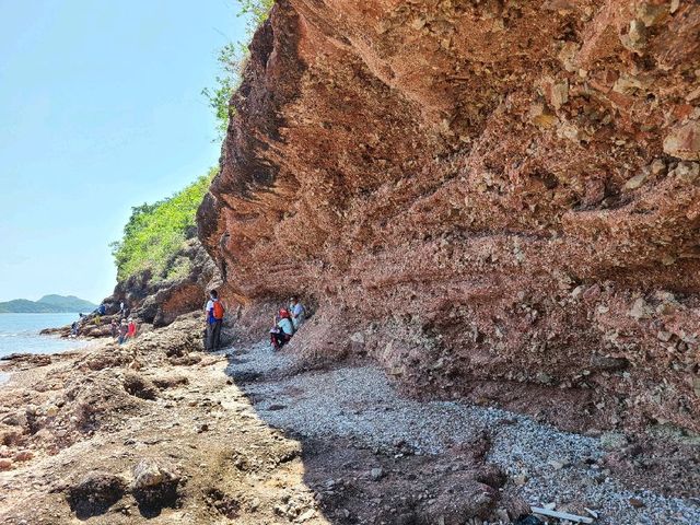 隱世離島遊~鴨洲🦆