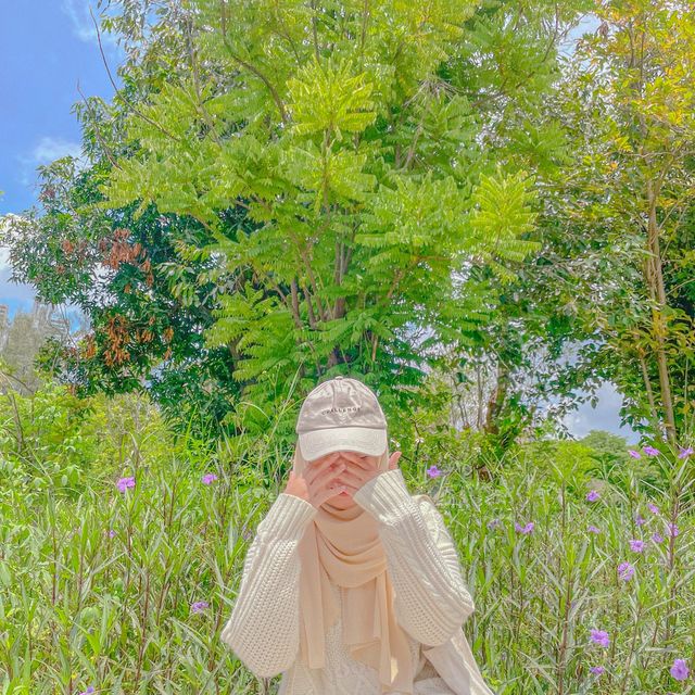 เกาหลีเกาใจที่สวนเบญจกิติ
