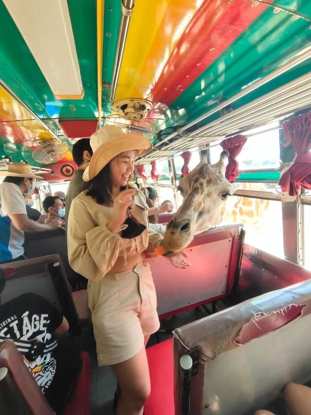 สวนสัตว์เปิดซาฟารีปาร์ค กาญจนบุรี