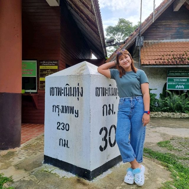 ปุกป่ามาชมหมอก @เขาพระเนินทุ่ง