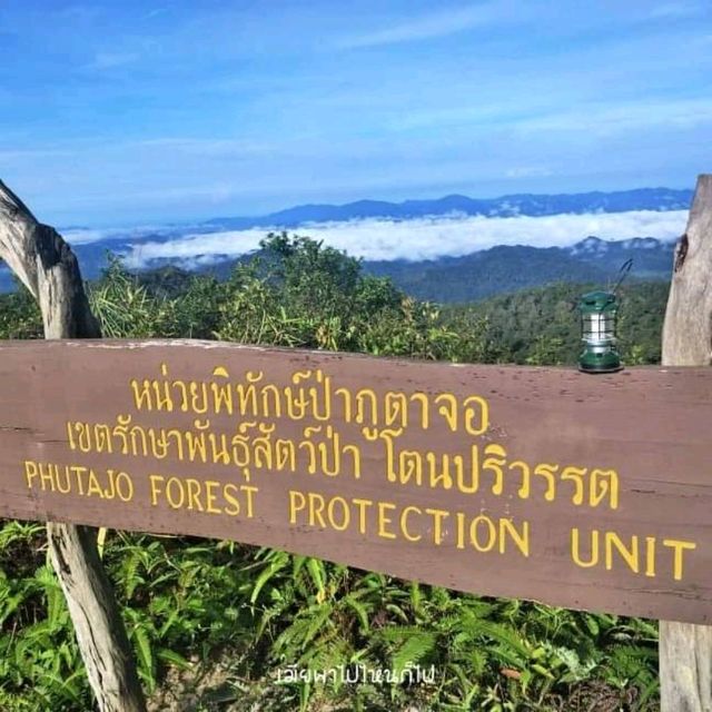 พิชิตยอดเขา ภูตาจอ ทะเลหมอกเต็มตา