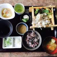 【日本 山梨縣】最萌兔兔馬兒一次到齊🐰