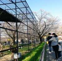 Jeonju Zoo