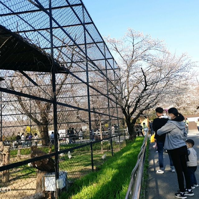 Jeonju Zoo