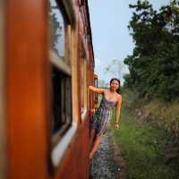 The scenic train ride in Sri Lanka