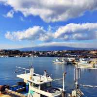 ⛴️ 한라산을 바라볼 수 있는 항구, 위미항