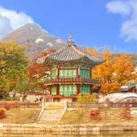 서울 아름다운 가을 단풍 명소, 경복궁 향원정🍁