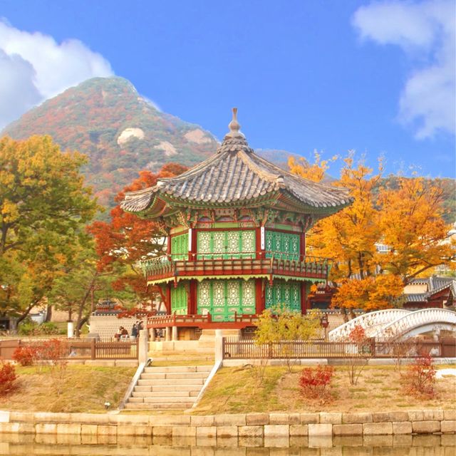 서울 아름다운 가을 단풍 명소, 경복궁 향원정🍁