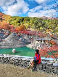 가을의 전설이 시작되는 곳! 경남 하동 삼성궁🍂🍁🏯