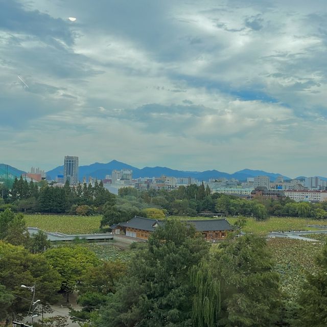 산책 맛집 전주 덕진공원🏞