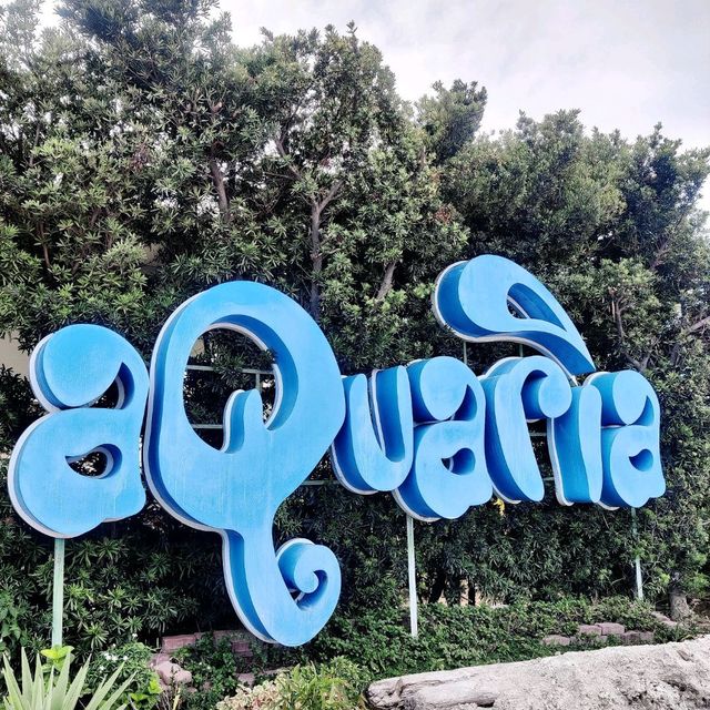 Acquaria Waterpark in Calatagan Batangas